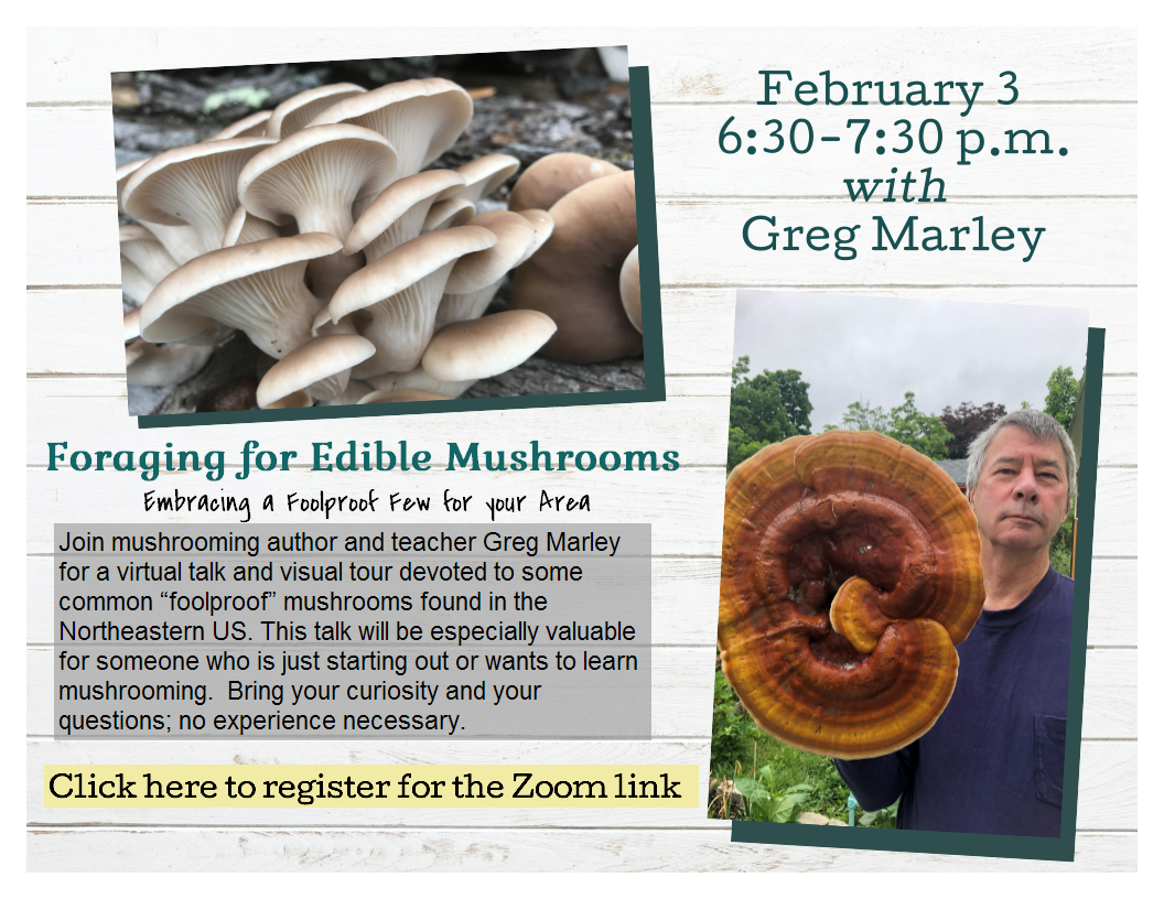 Mushroom Talk